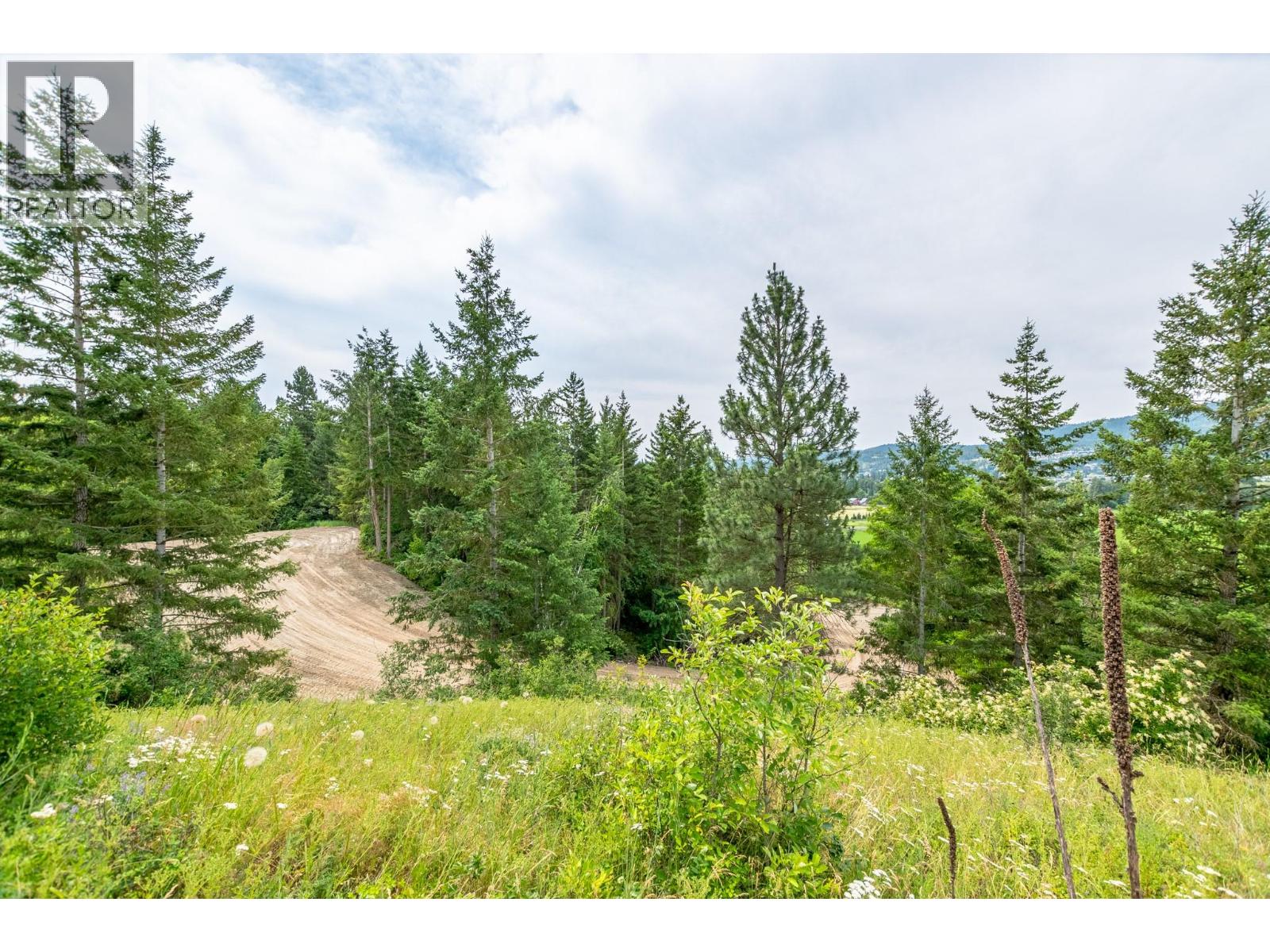 229 Enderby Grindrod Road, Enderby, British Columbia  V0E 1V4 - Photo 58 - 10377712