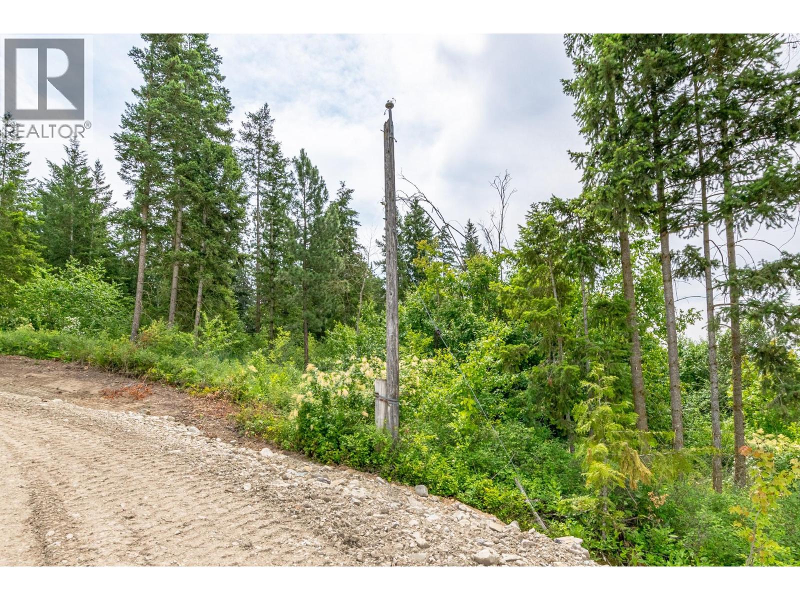 229 Enderby Grindrod Road, Enderby, British Columbia  V0E 1V4 - Photo 9 - 10377712