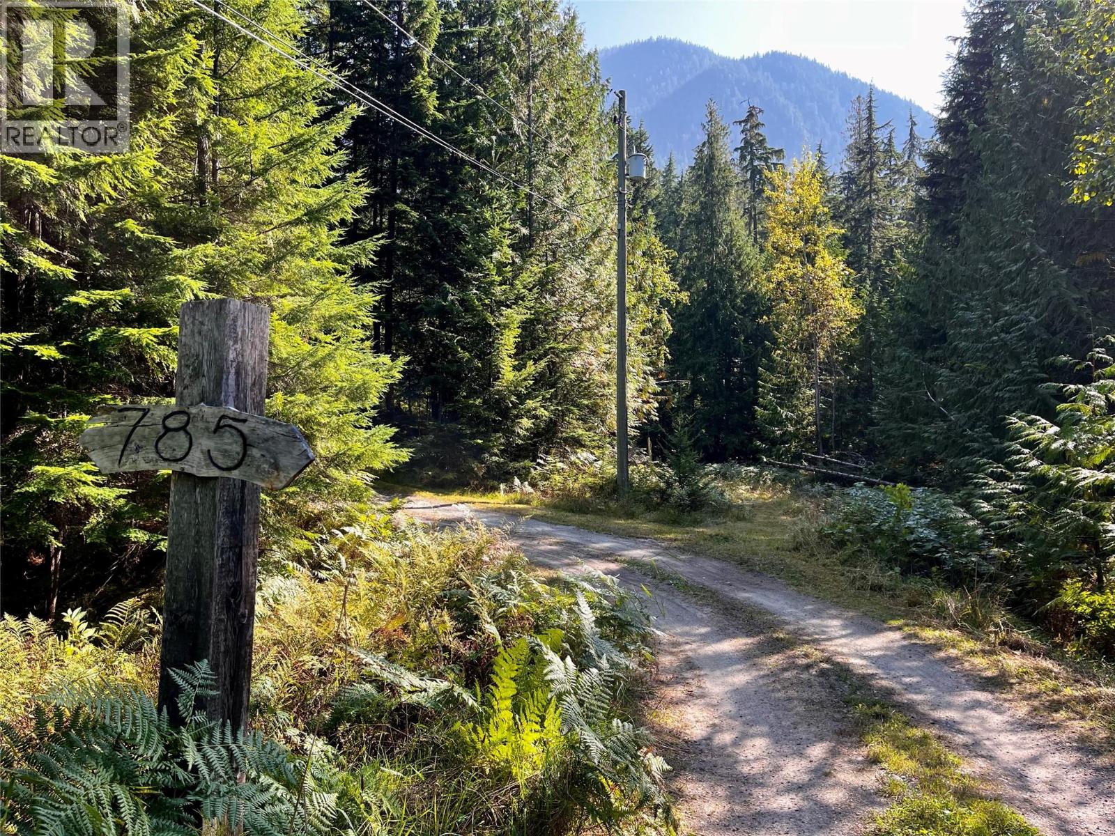 785 Beech Road, Nakusp, British Columbia  V0G 1R1 - Photo 66 - 10377561