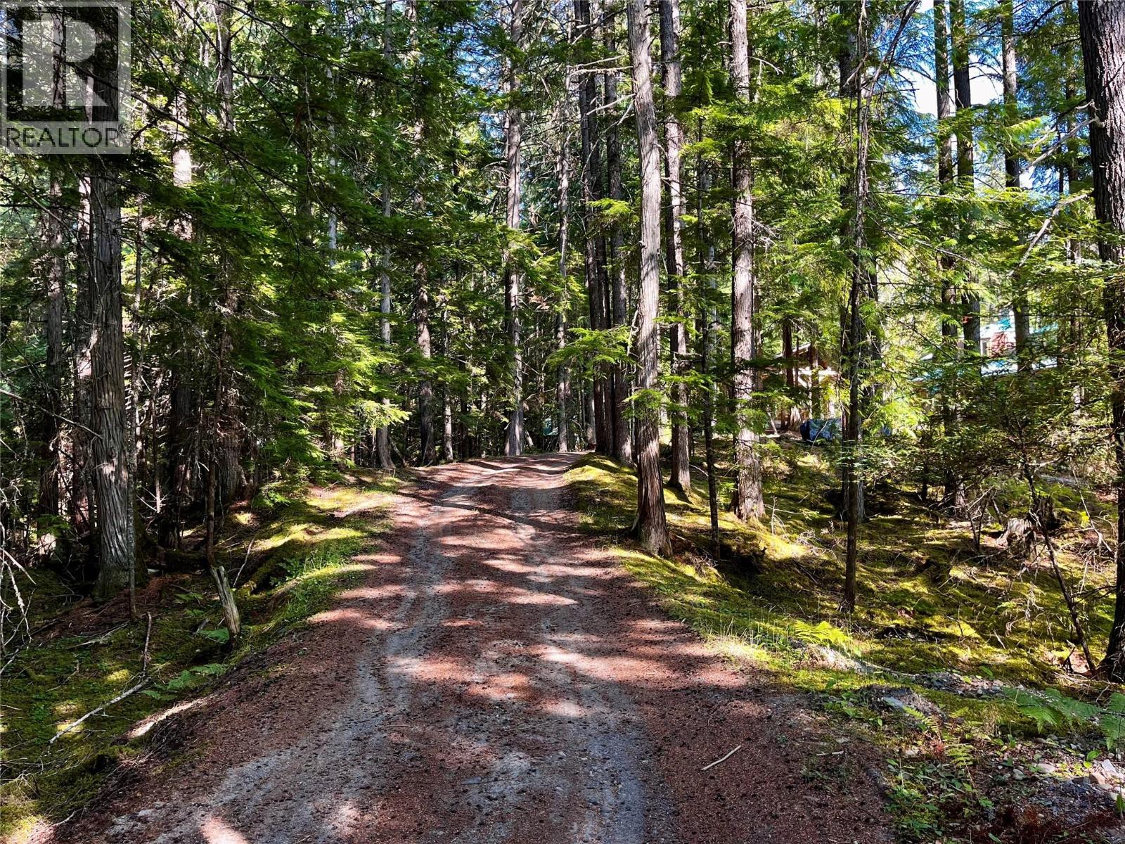 785 Beech Road, Nakusp, British Columbia  V0G 1R1 - Photo 67 - 10377561