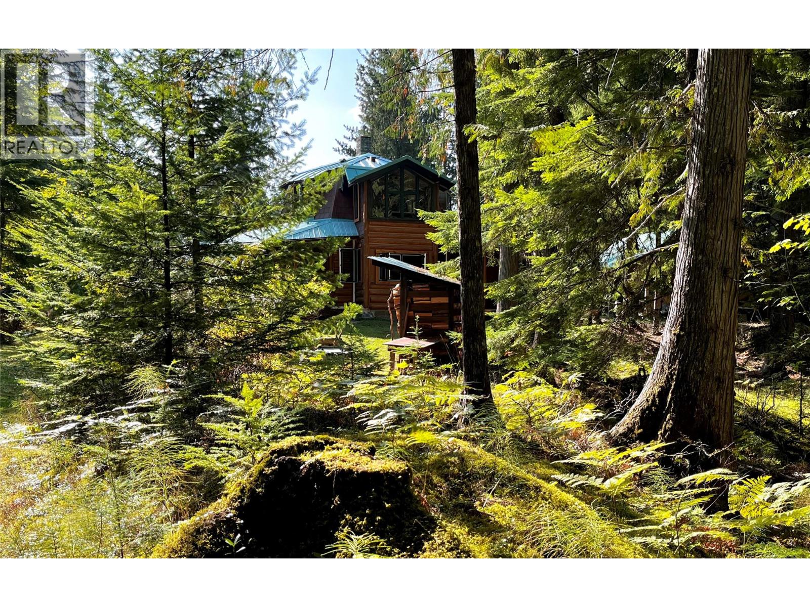 785 Beech Road, Nakusp, British Columbia  V0G 1R1 - Photo 73 - 10377561