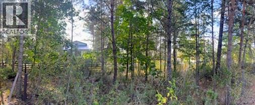 4534 Columbia View Road Lot# A, Fairmont Hot Springs, British Columbia  V0B 1L2 - Photo 11 - 10377995