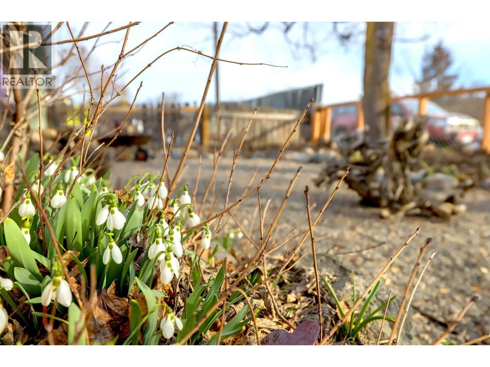 4204 34 Street, Vernon, British Columbia  V1T 5Y4 - Photo 61 - 10377973