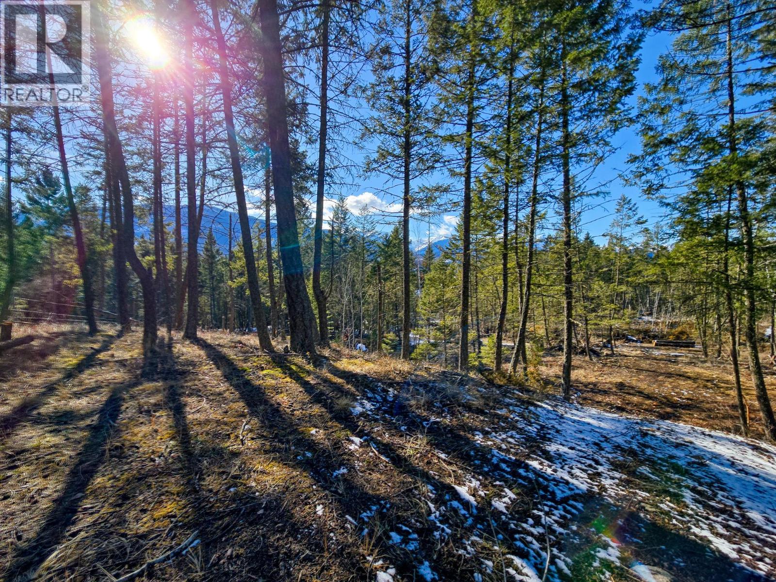 2837 Berrey Road, Brisco, British Columbia  V0A 1B0 - Photo 2 - 10377916