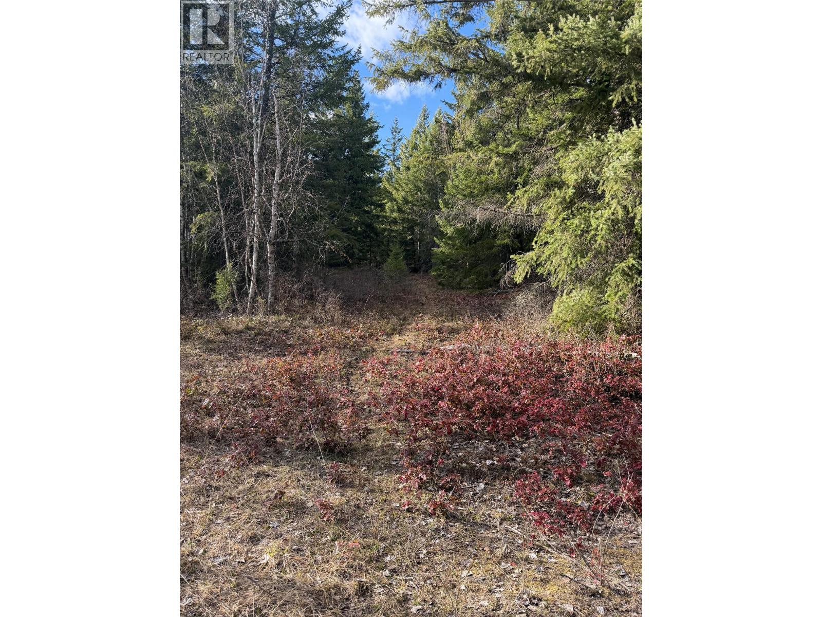 568 Agate Bay Road, Barriere, British Columbia  V0E 2E0 - Photo 12 - 10378079