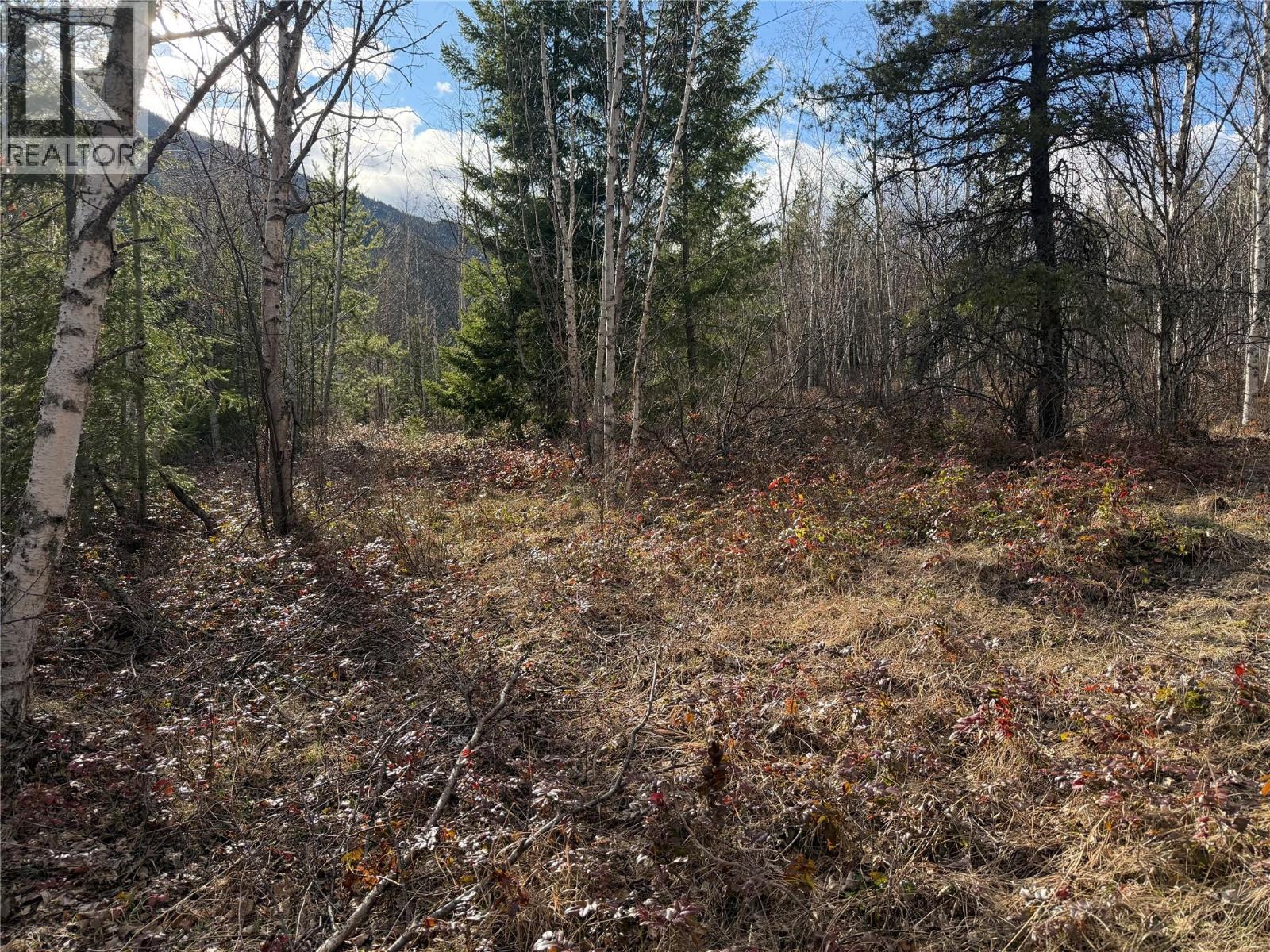 568 Agate Bay Road, Barriere, British Columbia  V0E 2E0 - Photo 21 - 10378079