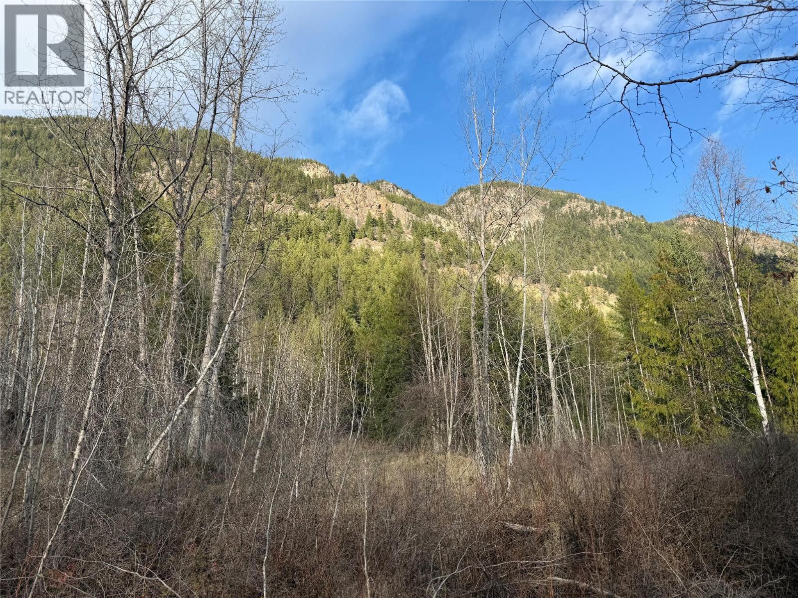 568 Agate Bay Road, Barriere, British Columbia  V0E 2E0 - Photo 23 - 10378079