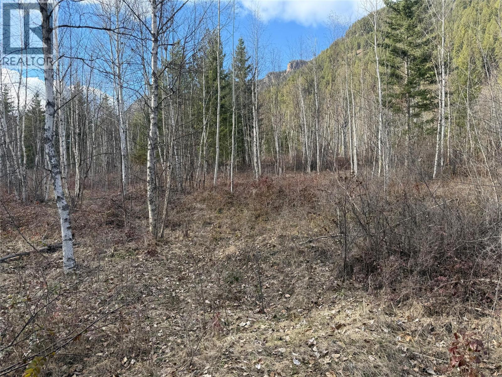 568 Agate Bay Road, Barriere, British Columbia  V0E 2E0 - Photo 24 - 10378079