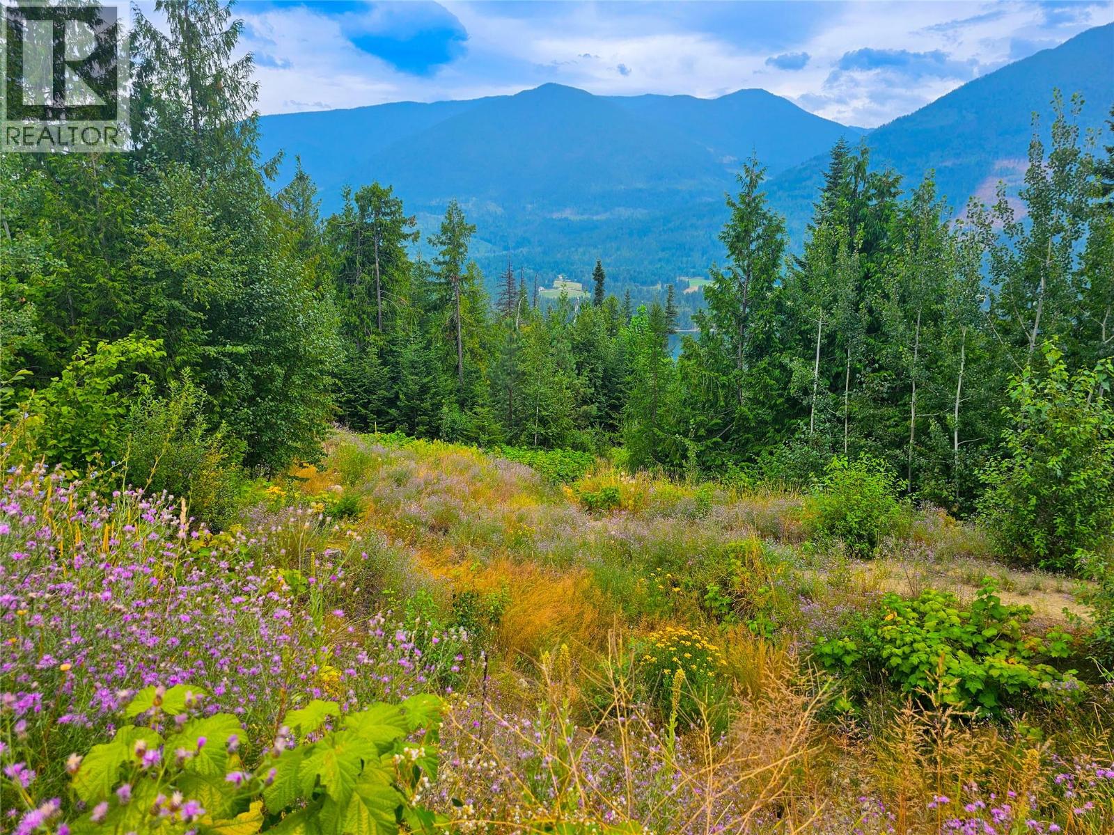 421 Mountain View Drive, Balfour, British Columbia  V1L 0A7 - Photo 1 - 10377898