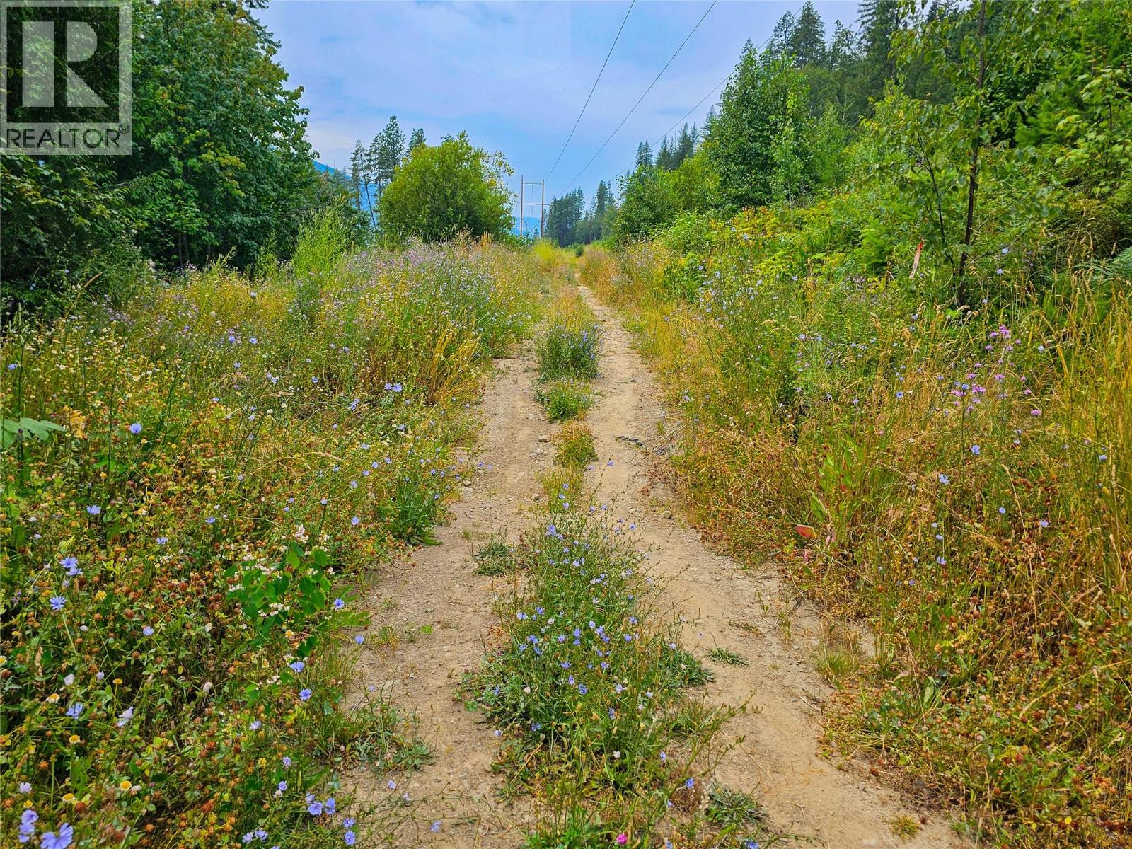 421 Mountain View Drive, Balfour, British Columbia  V1L 0A7 - Photo 10 - 10377898