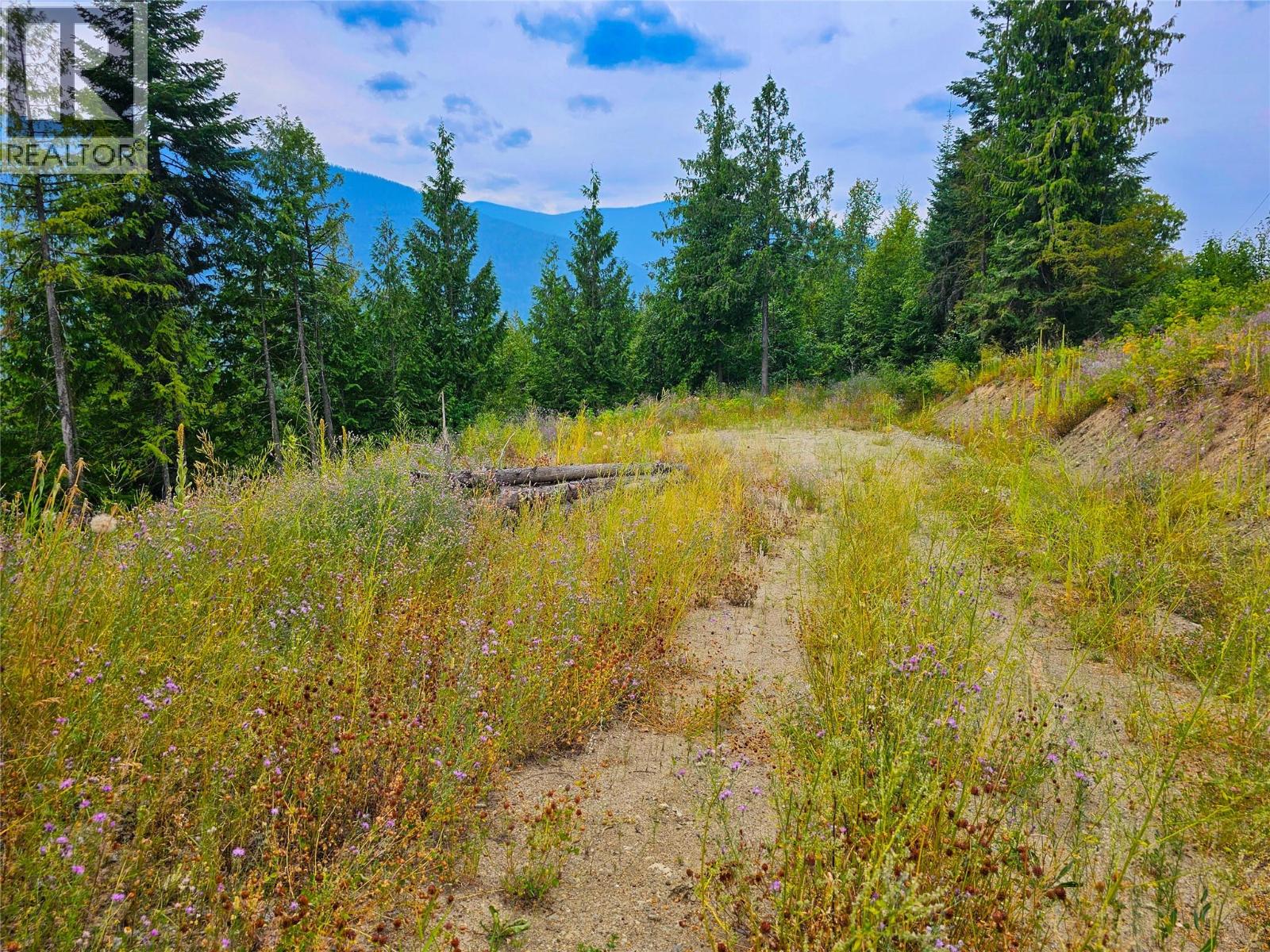 421 Mountain View Drive, Balfour, British Columbia  V1L 0A7 - Photo 11 - 10377898