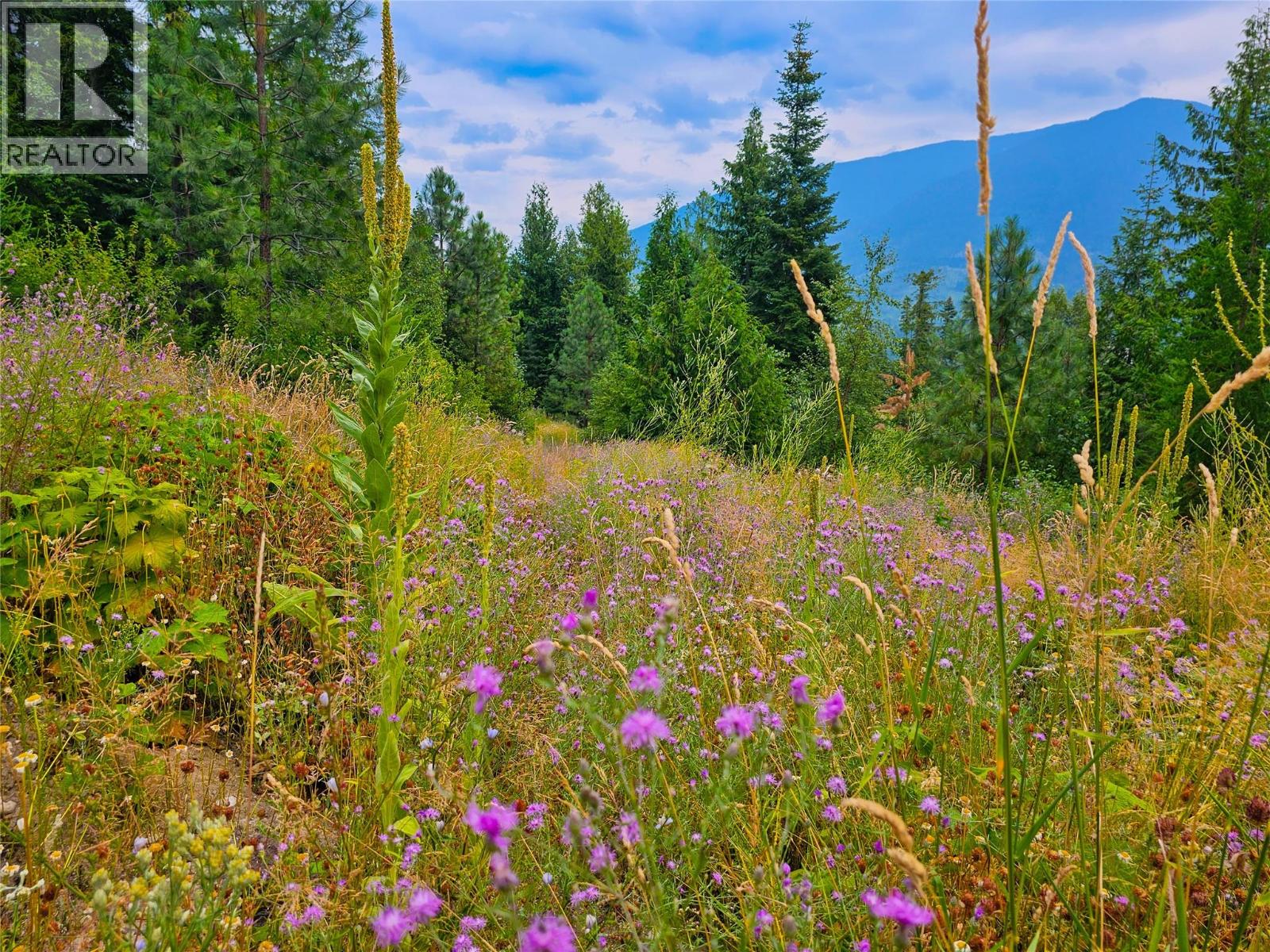 421 Mountain View Drive, Balfour, British Columbia  V1L 0A7 - Photo 12 - 10377898