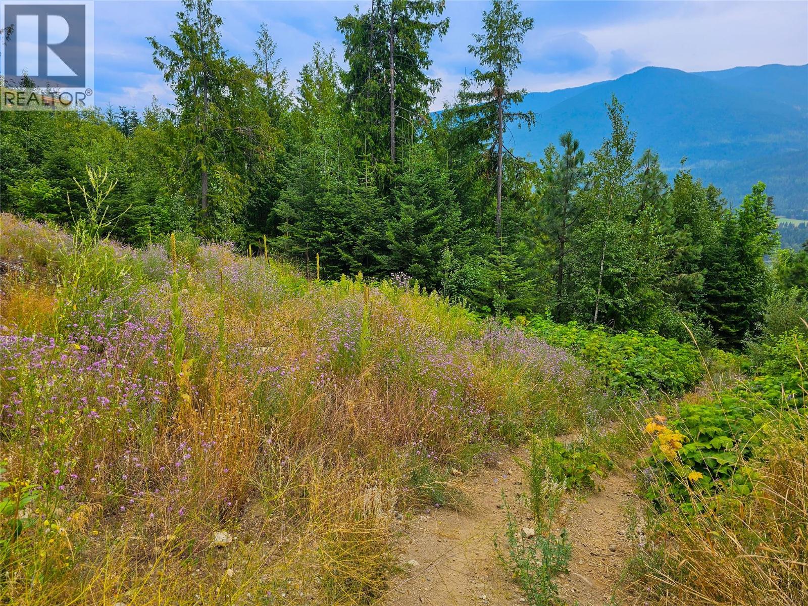 421 Mountain View Drive, Balfour, British Columbia  V1L 0A7 - Photo 13 - 10377898