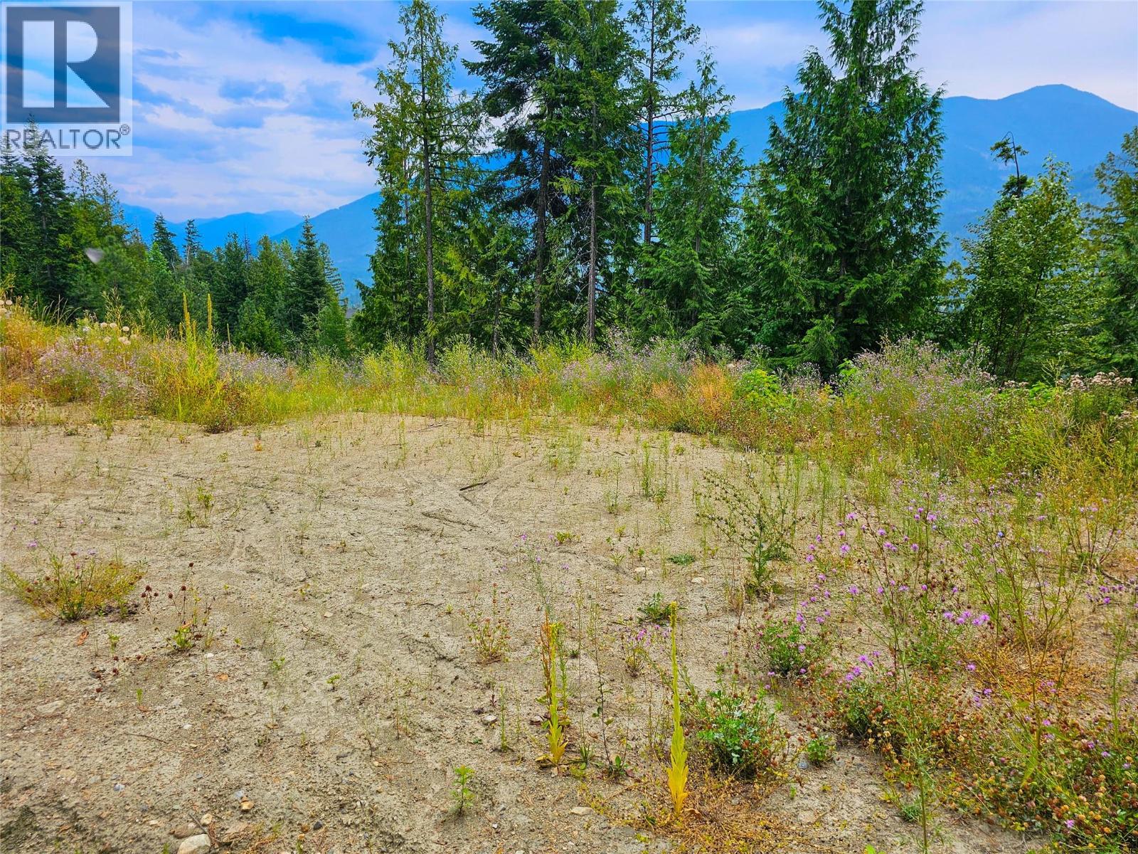 421 Mountain View Drive, Balfour, British Columbia  V1L 0A7 - Photo 15 - 10377898