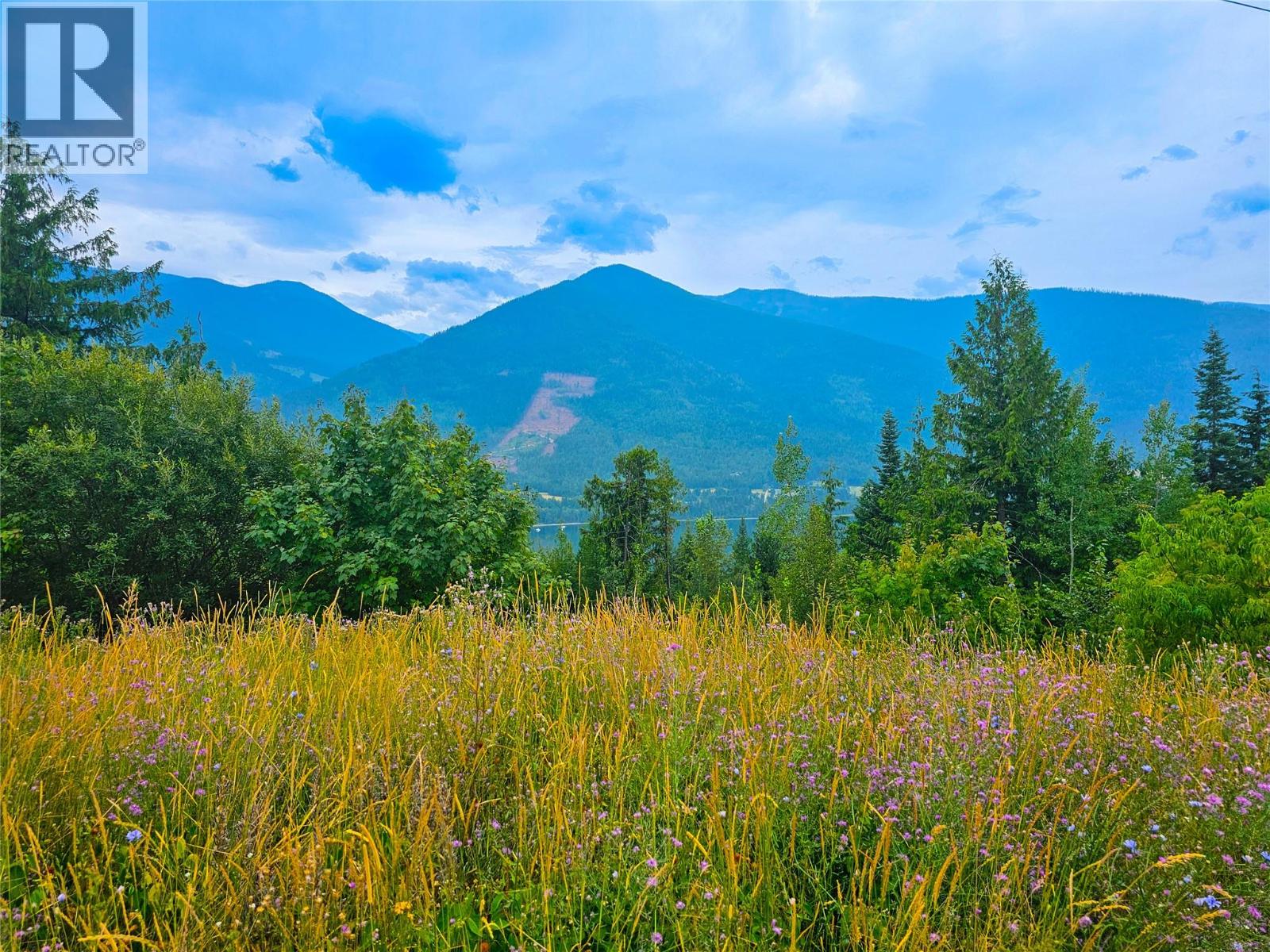 421 Mountain View Drive, Balfour, British Columbia  V1L 0A7 - Photo 2 - 10377898