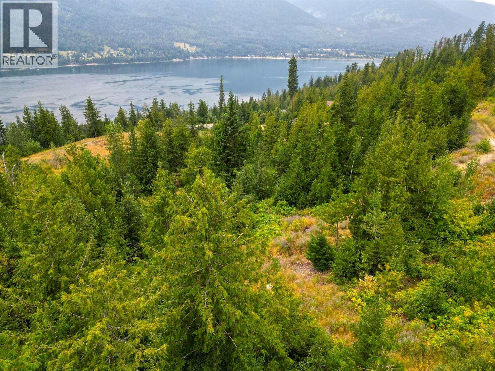 421 Mountain View Drive, Balfour, British Columbia  V1L 0A7 - Photo 21 - 10377898