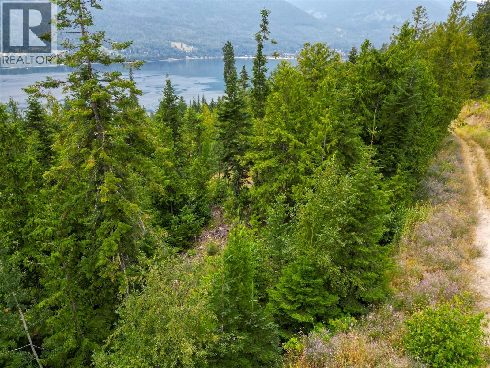 421 Mountain View Drive, Balfour, British Columbia  V1L 0A7 - Photo 22 - 10377898