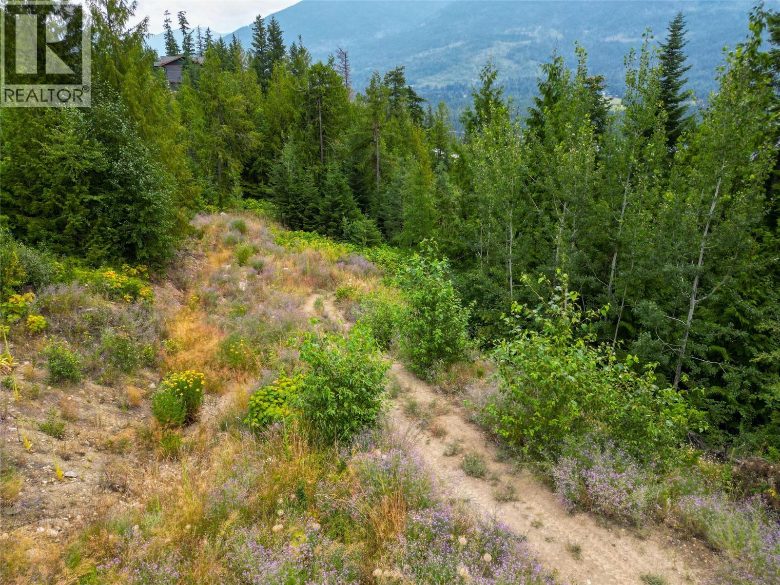 421 Mountain View Drive, Balfour, British Columbia  V1L 0A7 - Photo 23 - 10377898