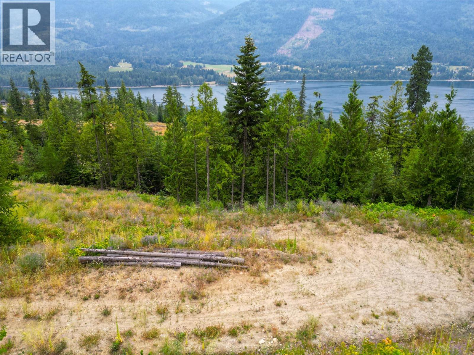 421 Mountain View Drive, Balfour, British Columbia  V1L 0A7 - Photo 24 - 10377898