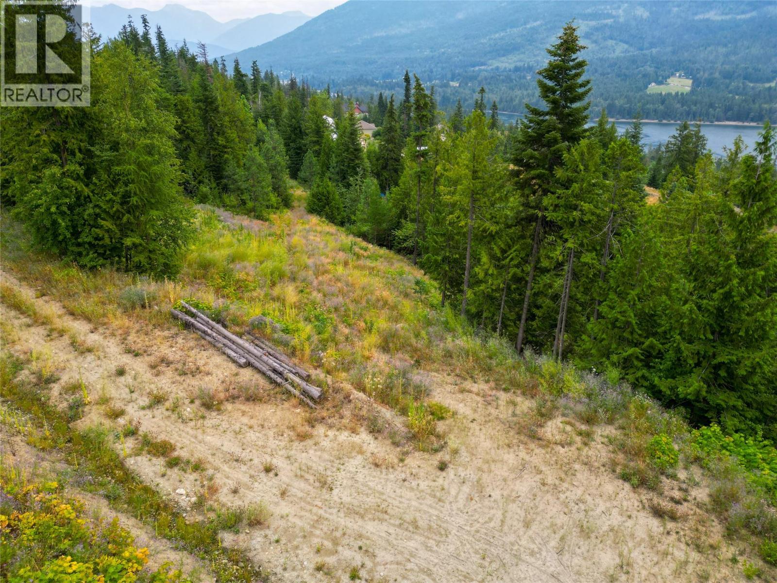 421 Mountain View Drive, Balfour, British Columbia  V1L 0A7 - Photo 25 - 10377898