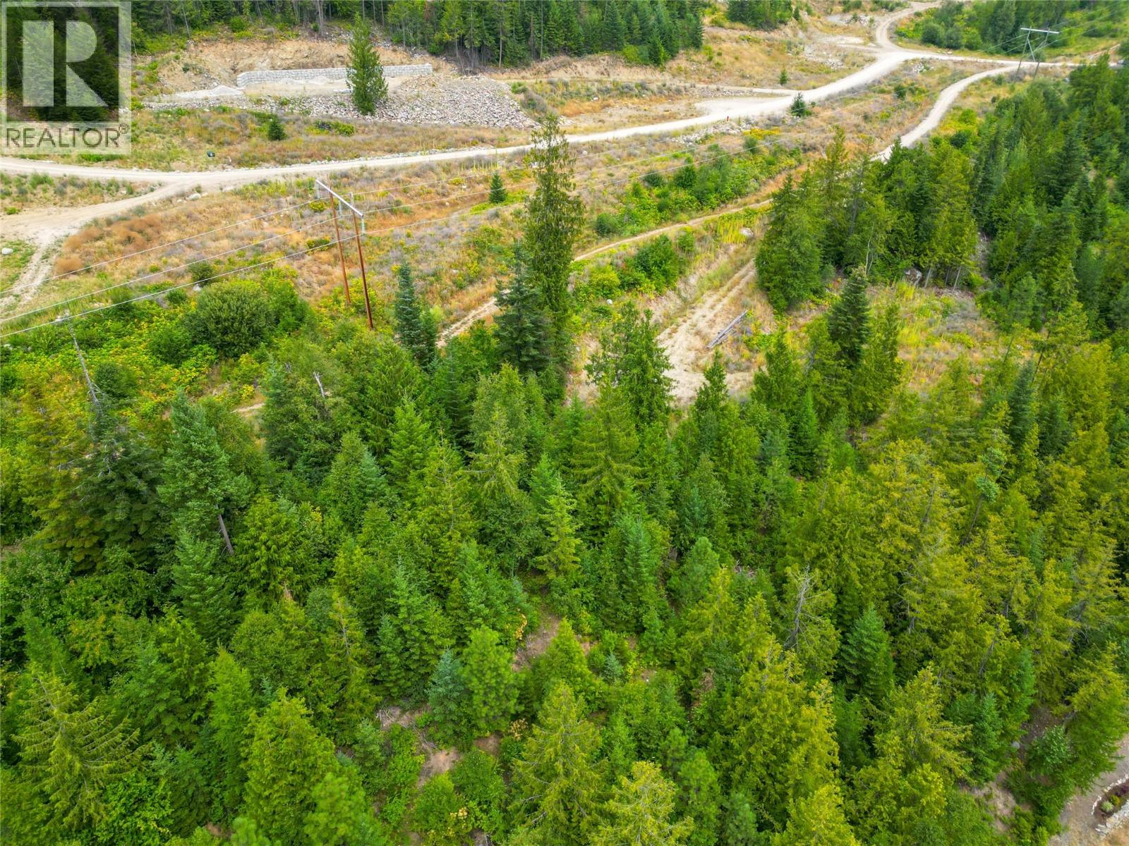 421 Mountain View Drive, Balfour, British Columbia  V1L 0A7 - Photo 27 - 10377898