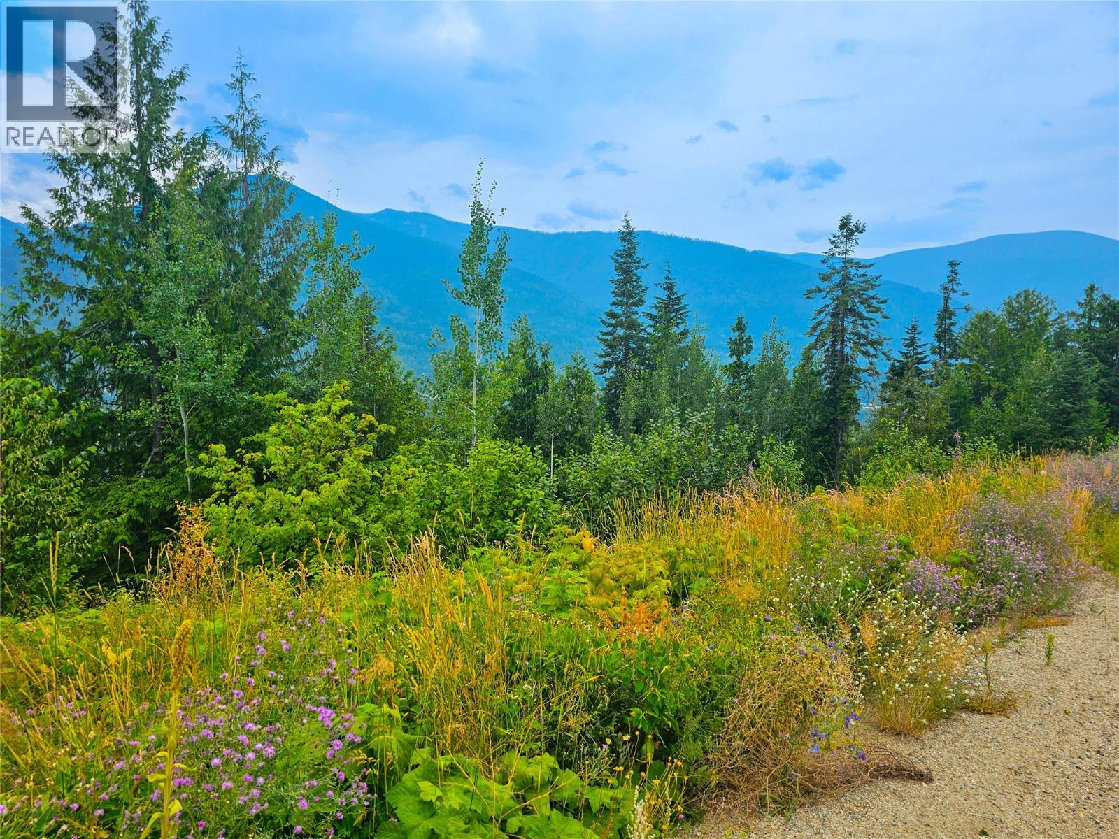 421 Mountain View Drive, Balfour, British Columbia  V1L 0A7 - Photo 3 - 10377898