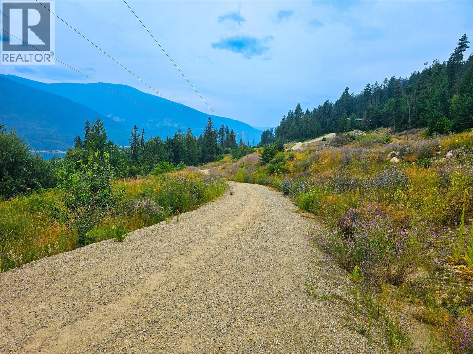 421 Mountain View Drive, Balfour, British Columbia  V1L 0A7 - Photo 4 - 10377898