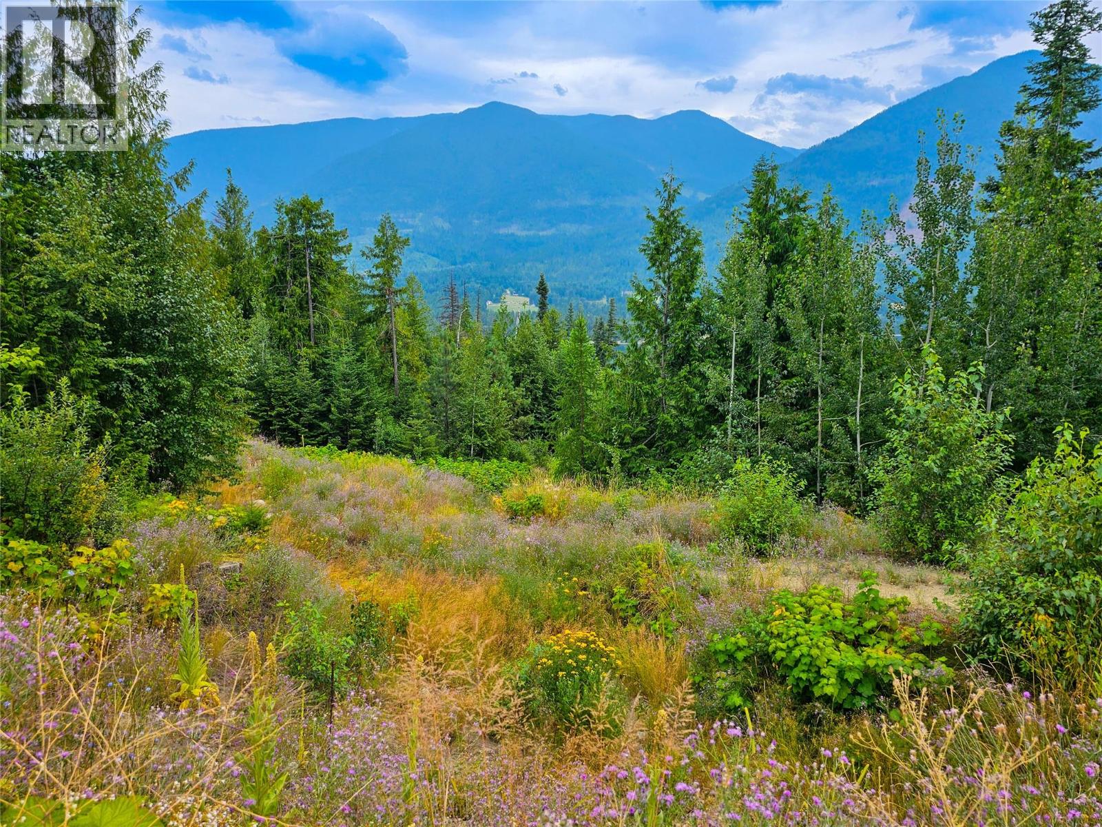 421 Mountain View Drive, Balfour, British Columbia  V1L 0A7 - Photo 5 - 10377898