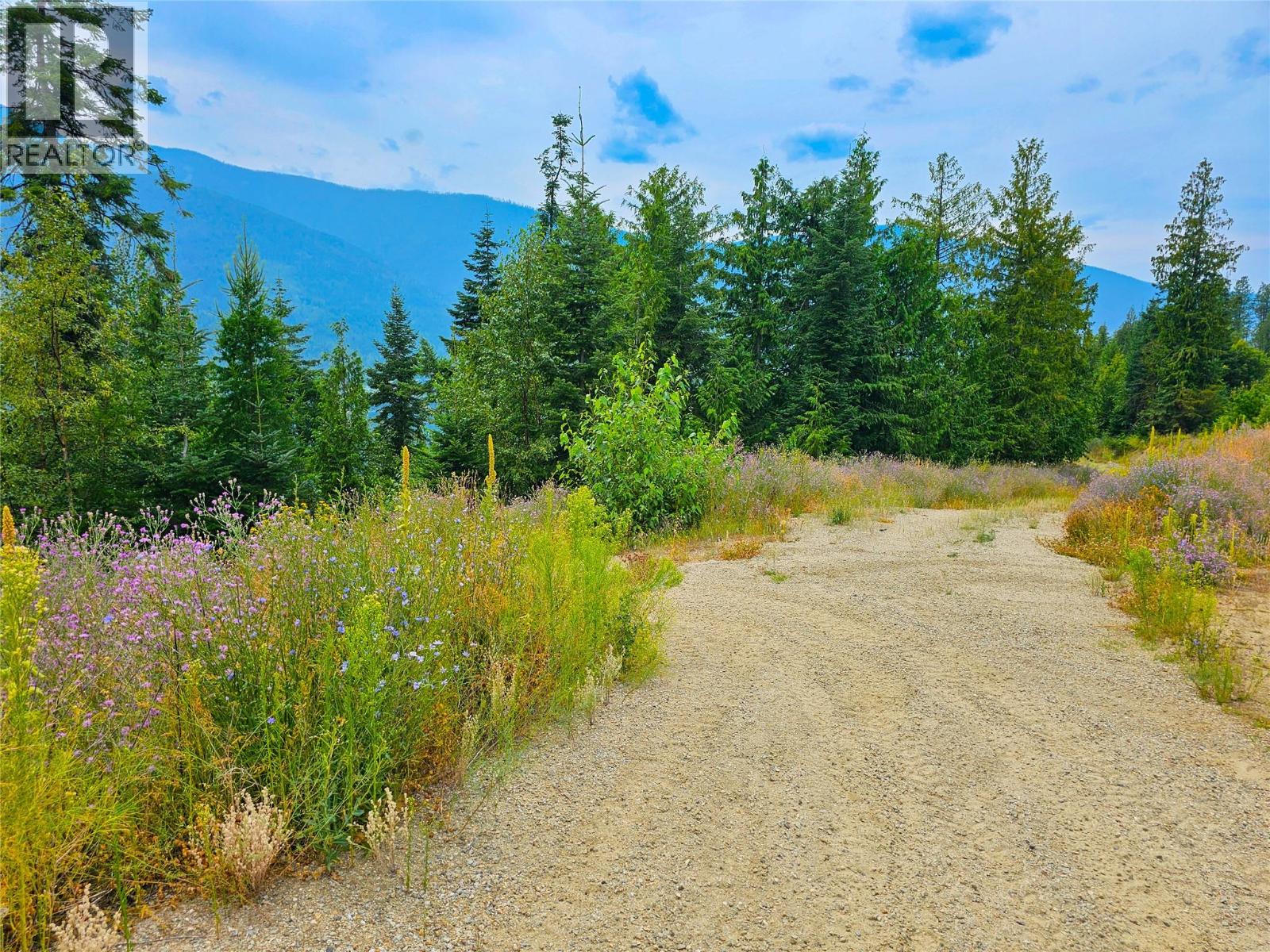 421 Mountain View Drive, Balfour, British Columbia  V1L 0A7 - Photo 7 - 10377898