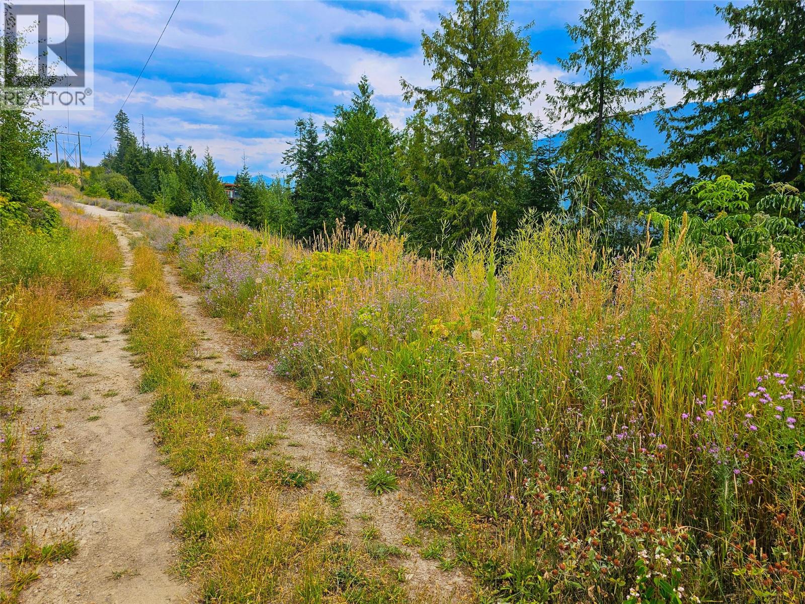 421 Mountain View Drive, Balfour, British Columbia  V1L 0A7 - Photo 8 - 10377898