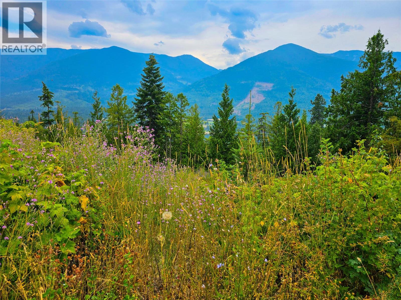 421 Mountain View Drive, Balfour, British Columbia  V1L 0A7 - Photo 9 - 10377898