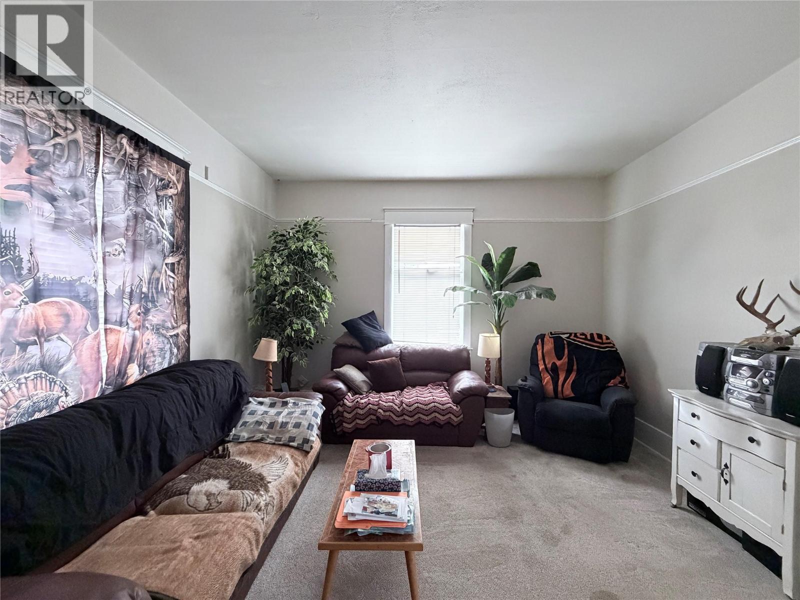 229 9th Avenue S, Cranbrook, British Columbia  V1C 2M4 - Photo 16 - 10378074