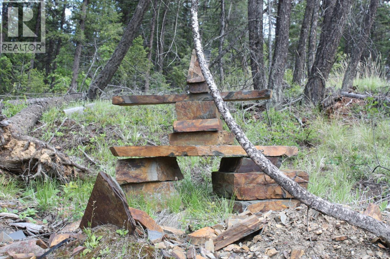 Ml 1027410 Fassifern Fs Road, Cranbrook, British Columbia  V1C 6T3 - Photo 12 - 10378226