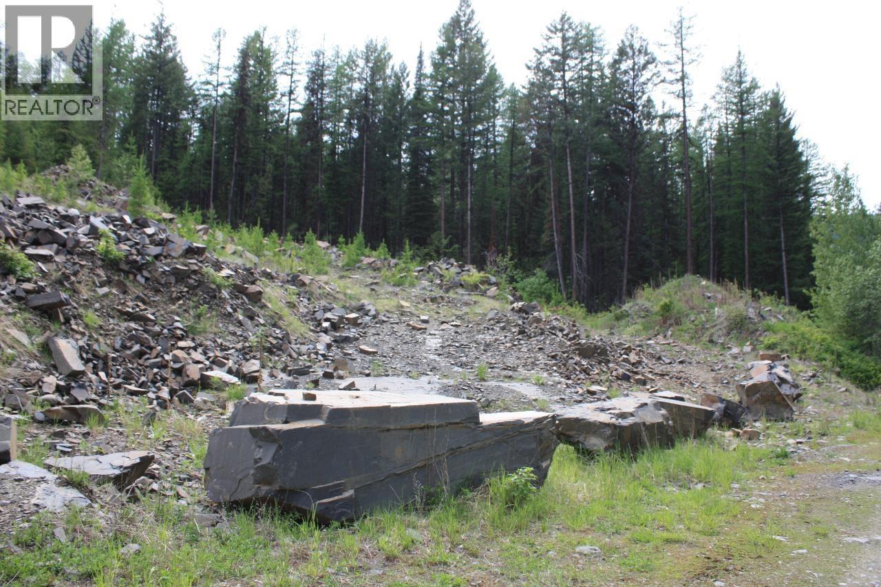 Ml 1027410 Fassifern Fs Road, Cranbrook, British Columbia  V1C 6T3 - Photo 4 - 10378226