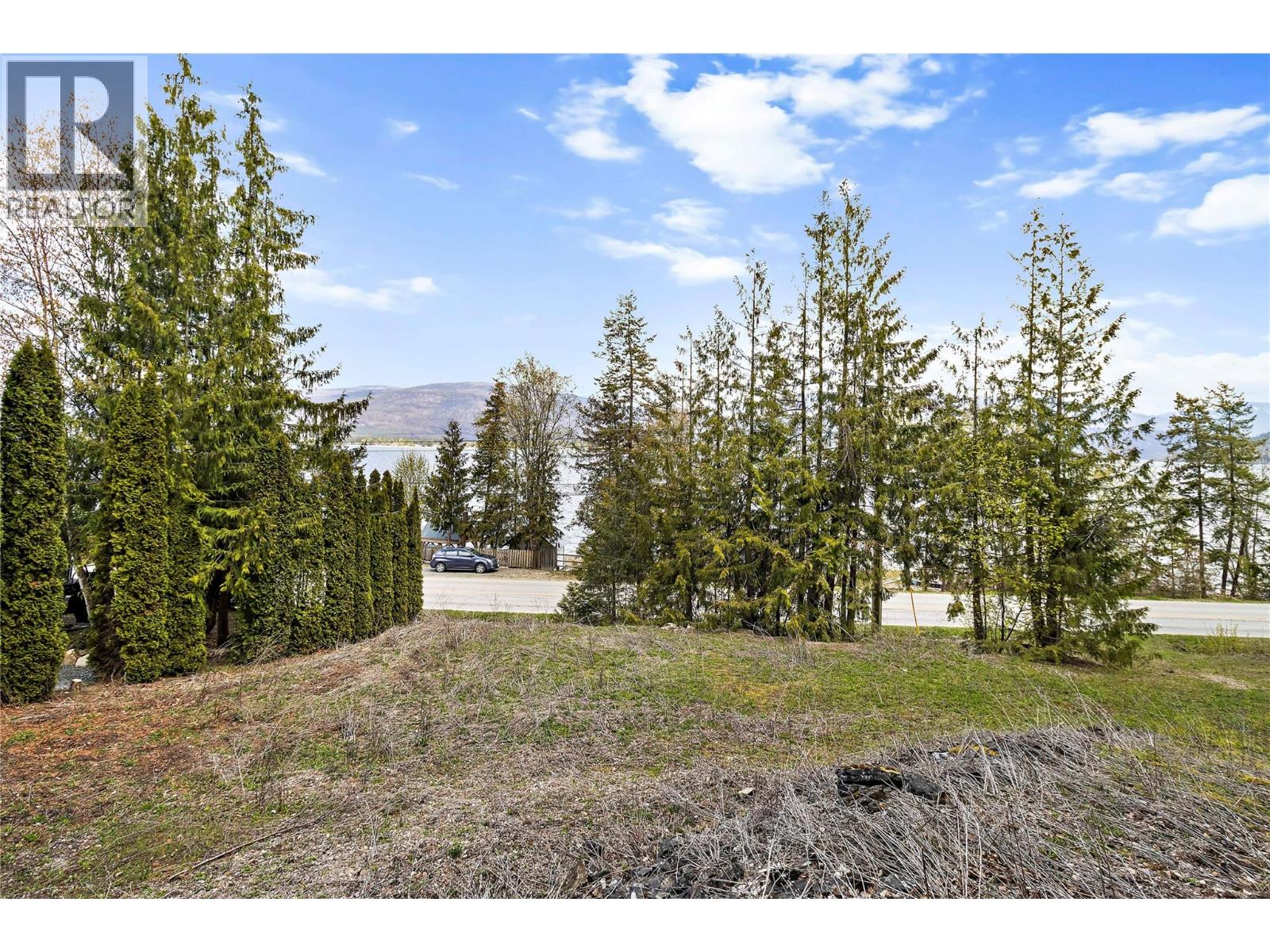 1665 Blind Bay Road, Blind Bay, British Columbia  V0E 2W0 - Photo 26 - 10377526