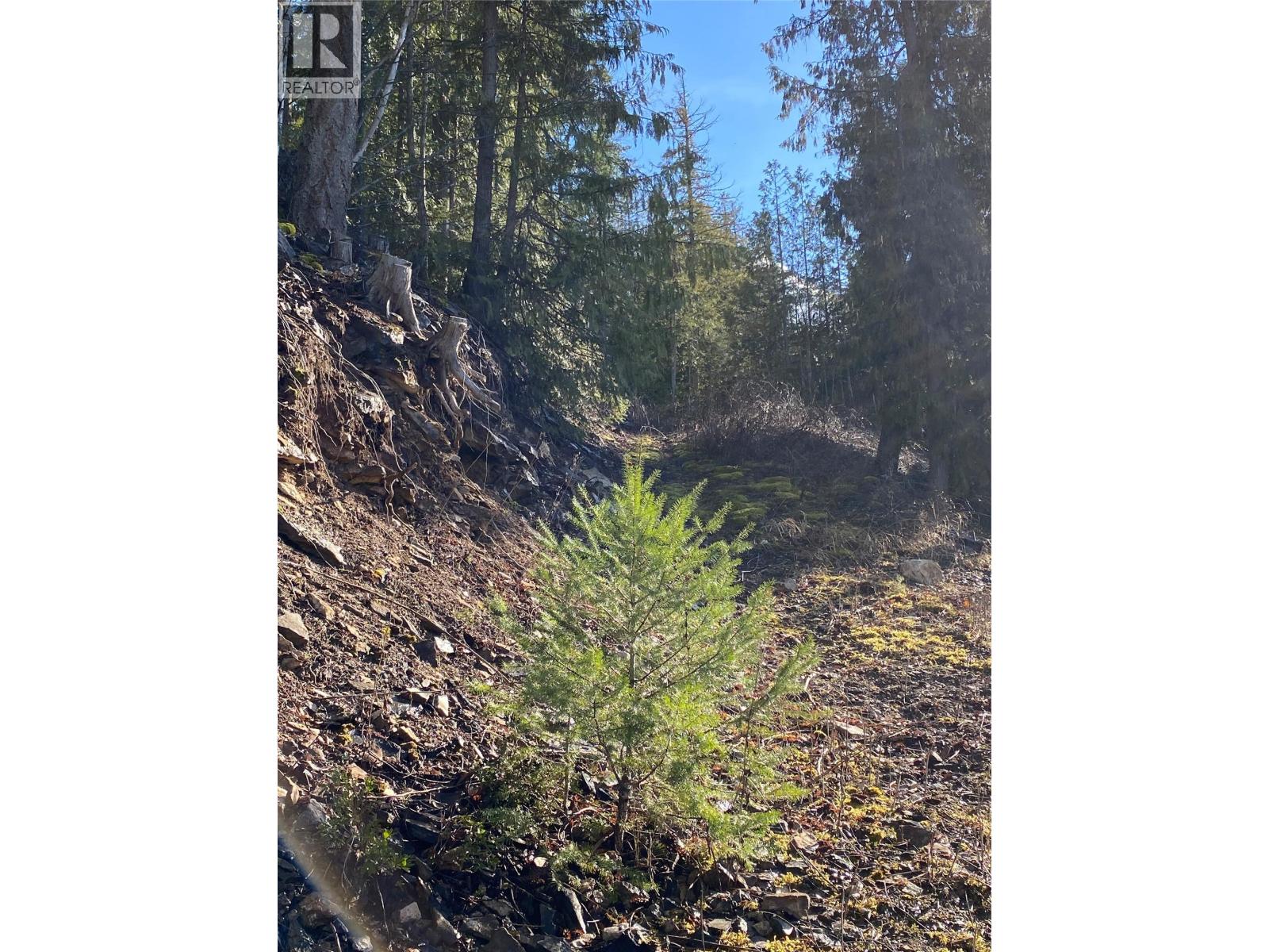 1665 Blind Bay Road, Blind Bay, British Columbia  V0E 2W0 - Photo 33 - 10377526