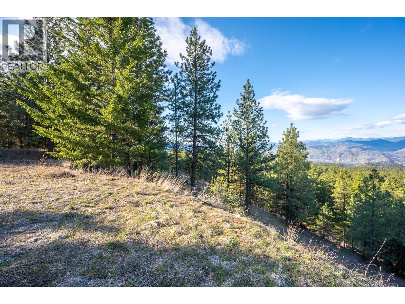 591 Sasquatch Trail, Osoyoos, British Columbia  V0H 1V6 - Photo 26 - 10377965