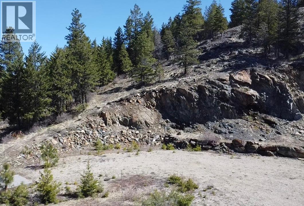 591 Sasquatch Trail, Osoyoos, British Columbia  V0H 1V6 - Photo 42 - 10377965