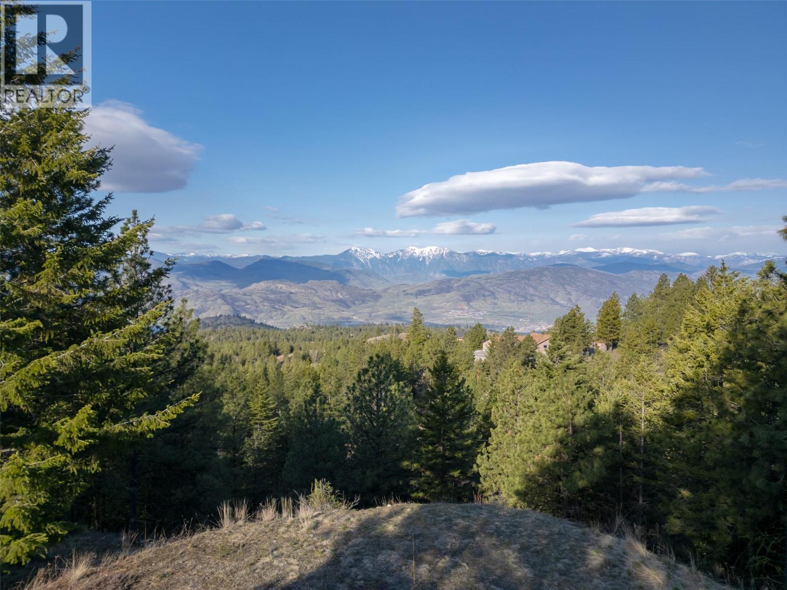 591 Sasquatch Trail, Osoyoos, British Columbia  V0H 1V6 - Photo 9 - 10377965