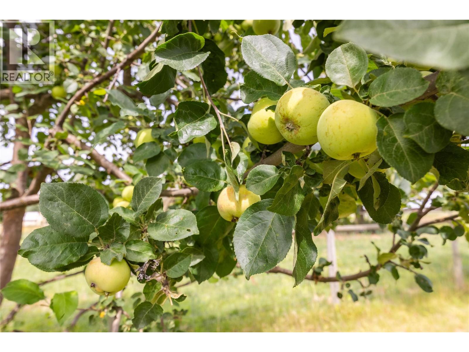 4780 Sleepy Hollow Road, Spallumcheen, British Columbia  V4Y 0T8 - Photo 45 - 10378276