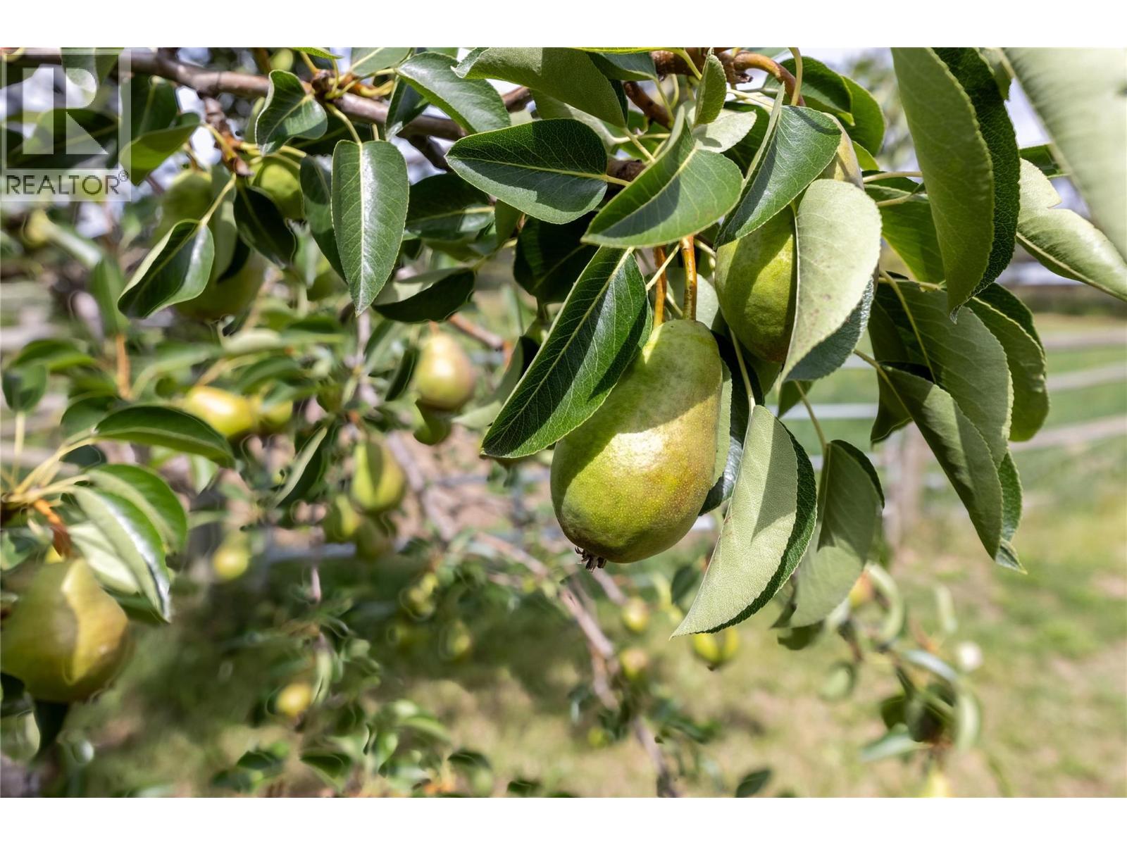 4780 Sleepy Hollow Road, Spallumcheen, British Columbia  V4Y 0T8 - Photo 46 - 10378276