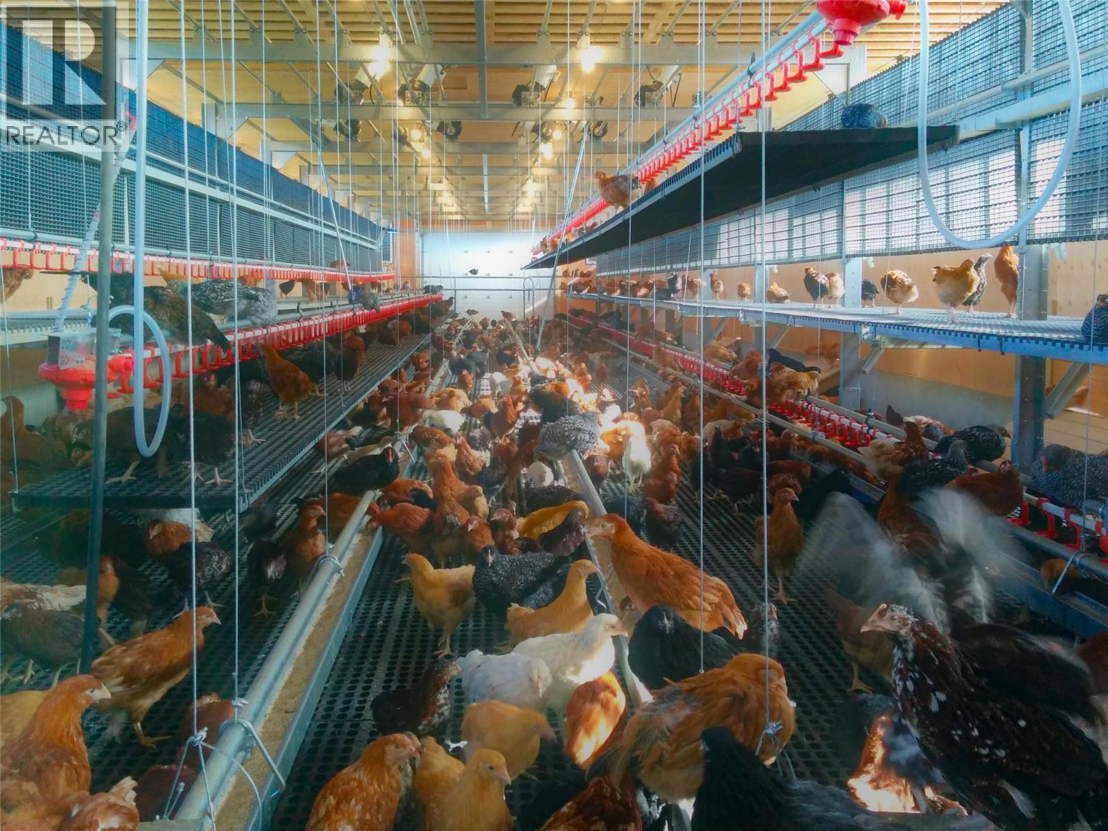 4780 Sleepy Hollow Road, Spallumcheen, British Columbia  V4Y 0T8 - Photo 5 - 10378276