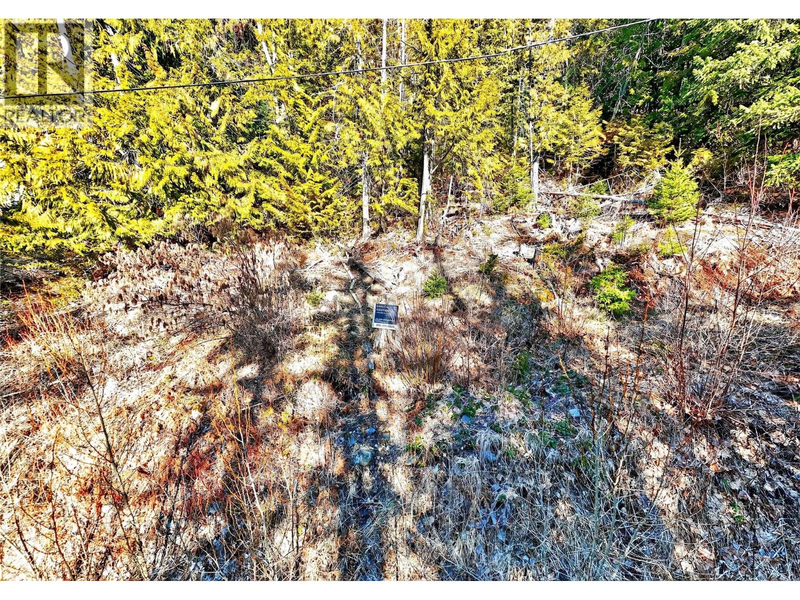 Vickers Trail Lot# 151, Anglemont, British Columbia  V0E 1M8 - Photo 27 - 10378288