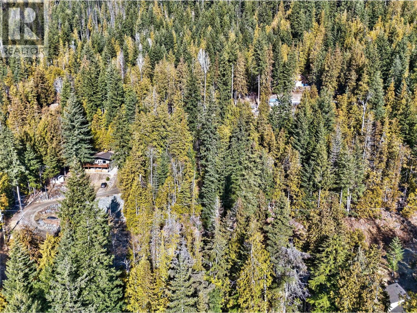 Vickers Trail Lot# 151, Anglemont, British Columbia  V0E 1M8 - Photo 6 - 10378288