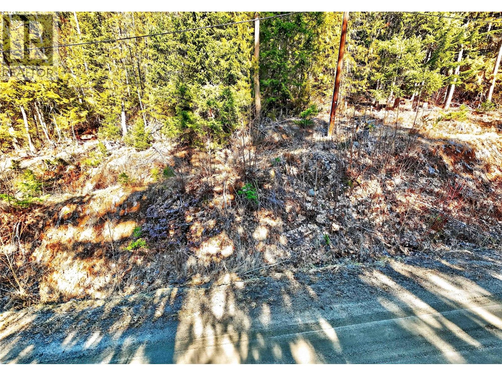 Vickers Trail Lot# 150, Anglemont, British Columbia  V0E 1M8 - Photo 29 - 10378229