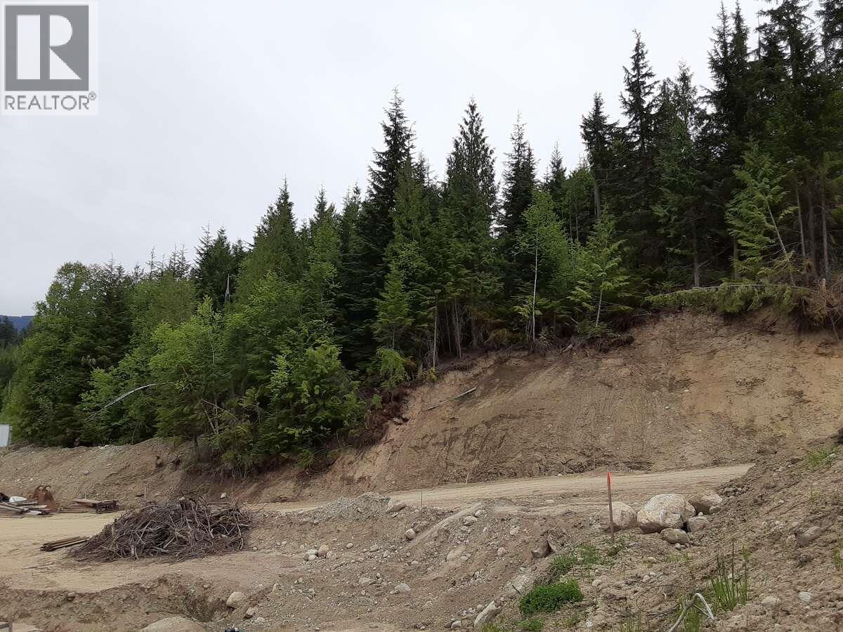 4335 Sederberg Road, Malakwa, British Columbia  V0E 2J0 - Photo 6 - 10378314