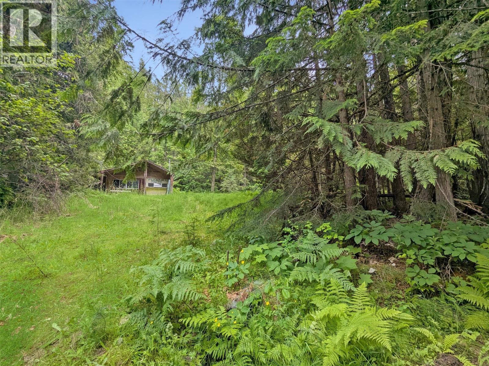 8802 Martens Road, Slocan, British Columbia  V0G 2C0 - Photo 30 - 10377776