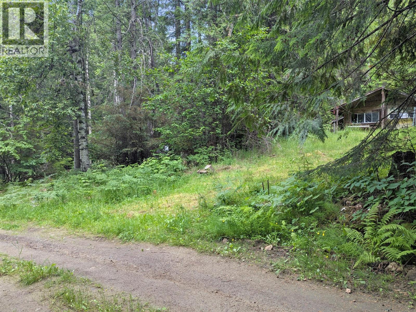 8802 Martens Road, Slocan, British Columbia  V0G 2C0 - Photo 31 - 10377776