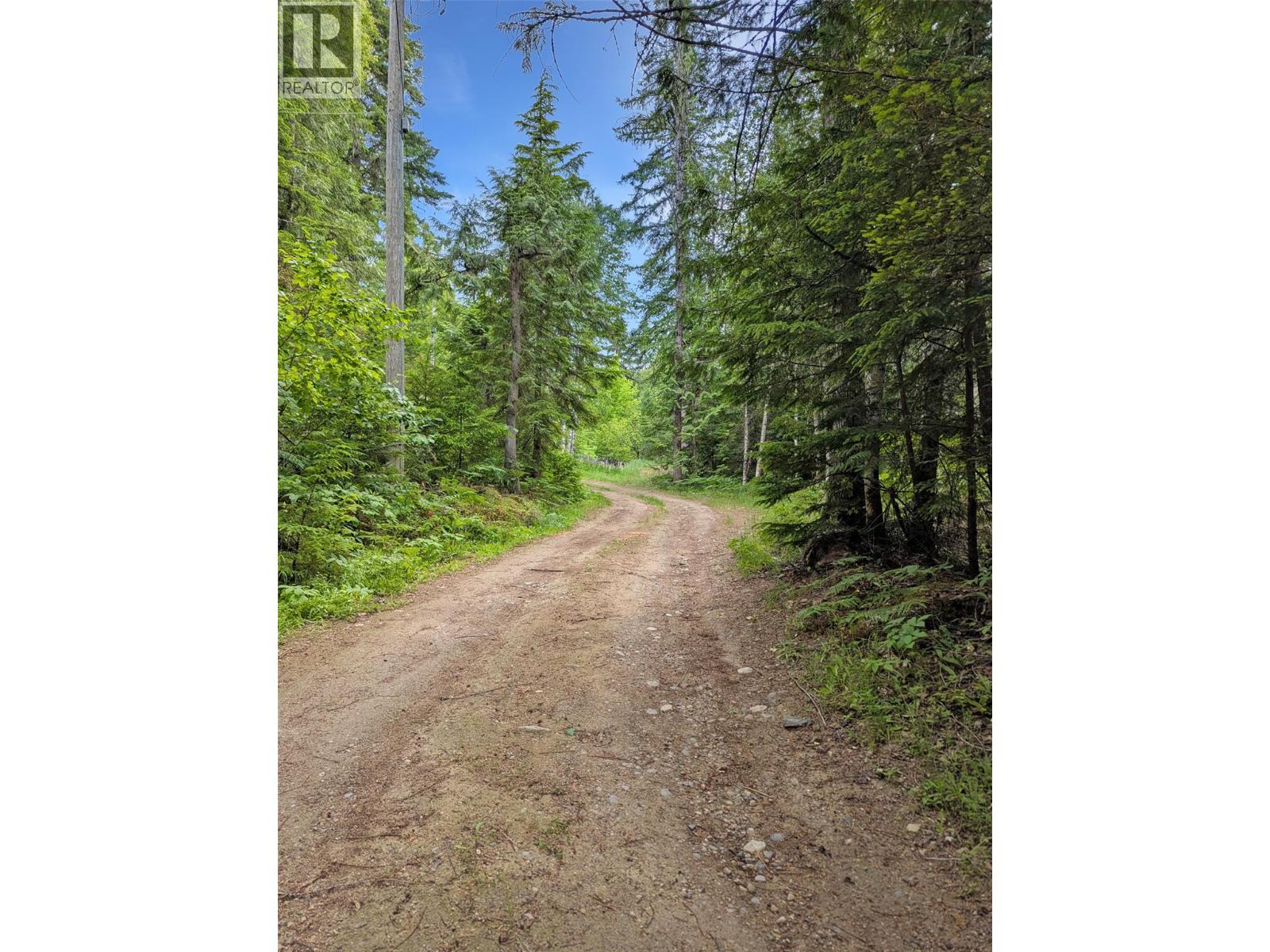 8802 Martens Road, Slocan, British Columbia  V0G 2C0 - Photo 33 - 10377776