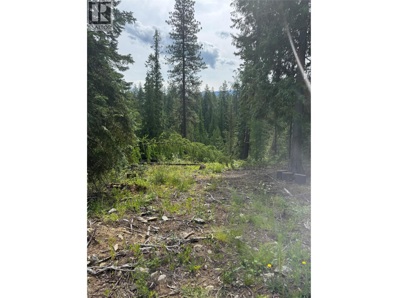 4018 Fumot Place, Bonnington, British Columbia  V0G 2G3 - Photo 10 - 10376512